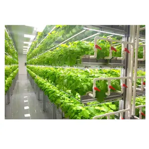 Aeroponics Hydrocultuur Systeem 4 Voet 480W 600W Hydrocultuur Groeien Systeem Indoor Diepe Water Cultuur Hydrocultuur