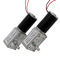 Moteur à engrenages micro DC Shenzhen Dongshunda DSD-5840-31ZY, basse vitesse, 12-24V, double arbre, couple élevé, pour bateaux et appareils électroménagers