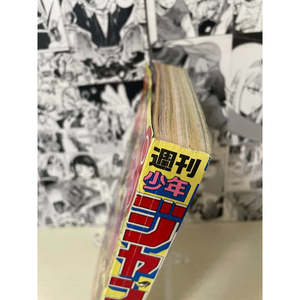 Póster de Anime de Weekly Shonen Jump 1994 N.° 28 - JAP - Product Image 3