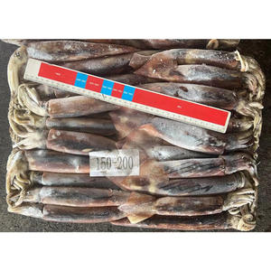 Calamari Congelati Naturali a Basso Prezzo, Fornitore di Calamari Illex Congelati U3 - Product Image 3