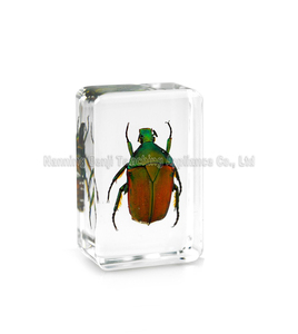 Sciarapone a braccio lungo ecologico in resina, artigianato in vero resina epossidica, campione animale per regali - Product Image 2