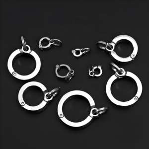 Lüks Çevre Dostu 316L Paslanmaz Çelik Papağan Kartal Güvercin Ayak Halkası Lazer Kazımalı Kuş Malzemeleri - Product Image 1