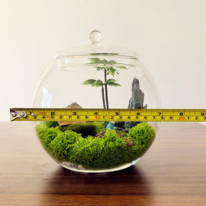 Barattolo moderno per terrario da 20cm con coperchio in vetro vaso decorativo da tavolo e urna per uso interno domestico - Product Image 4