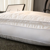Tissu en satin de coton haut de gamme Double couche de remplissage 3D microfibre vente en gros oreiller cervical pour lit