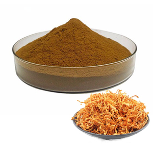 ผงสารสกัดจาก Cordyceps sinensis แบบแคปซูลพร้อม20% - Product Image 2