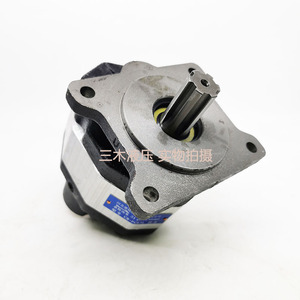 Luosheng Hydraulic Gear Pump CB FC80 350 Bar 1 Stage <b>Cast</b> Iron Electric Rotary Pump - Product Image 1