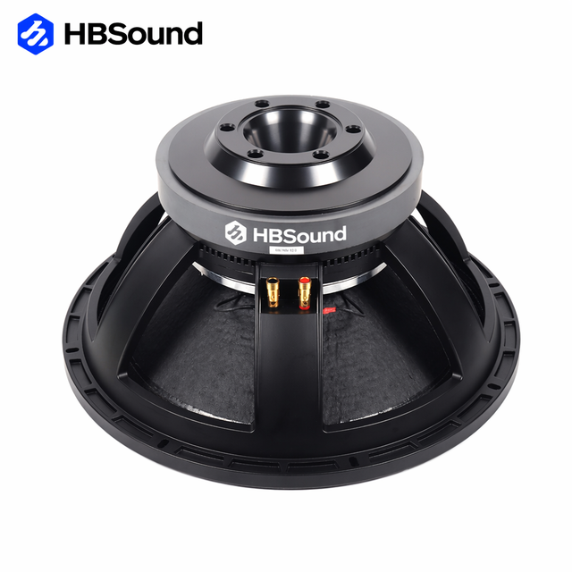PA Speakers 18 Inch Subwoofer Speaker for Professional Audio Sound Systems