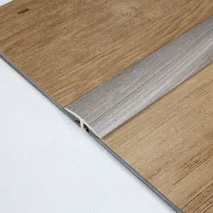 Bandes de seuil de bâti formées par T en plastique décoratif de profil de plancher pour des portes