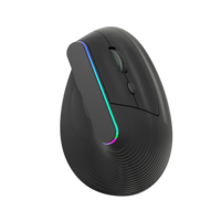 Souris verticale ergonomique sans fil à double mode rétroéclairée RGB 2.4G+BT, souris rechargeable sans fil pour ordinateur et ordinateur portable