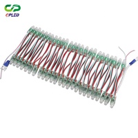 Luci LED RGB WS2811 5V 12V 12mm con corpo in plastica, luci decorative per Natale e parchi a tema, luci a punti nominali.