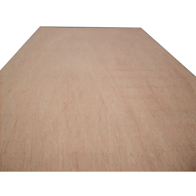 Professional Supply Plywood Door Designs Construction Shuttering Birch Commercial Plywood