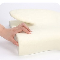 Oreiller en mousse à mémoire de forme orthopédique pour le cou soulagement de la pression hypoallergénique Contour Oreiller de voyage Bureau à domicile certifié
