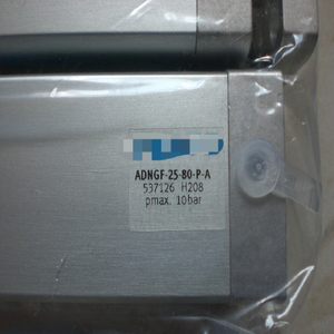 Cilindro ADNGF-25-80-<span class=keywords><strong>P</strong></span>-wbrA 537126 - Product Image 1