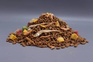 מפעל OEM ODM מציע סיטונאות של מזון יבש לחתולים באיכות גבוהה, 100% טבעי, בטעם עוף. - Product Image 5