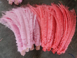 Plumes d'autruche de 35 à 40 cm, <span class=keywords><strong>bricolage</strong></span>, vente en gros, plumes à plumer, à vendre - Product Image 2