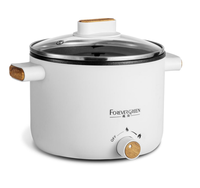Prix compétitif OEM marmite portable mini cuisinière de voyage poêle électrique antiadhésive multifonctionnelle pour sauté ragoût vapeur