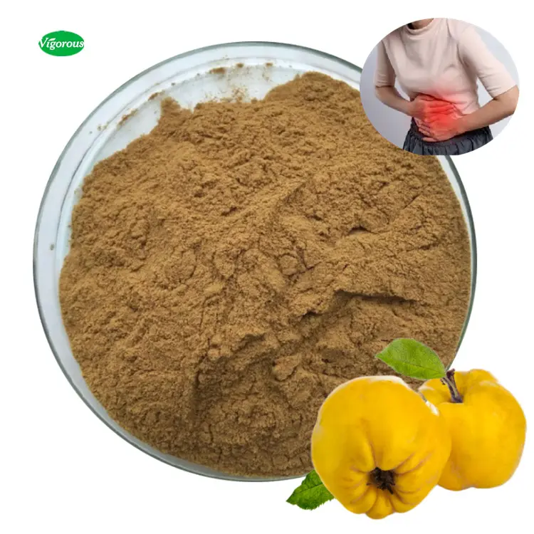 Haccp bulk supply free sample quince cydonia oblonga fruit powder