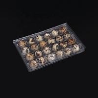 Plateau de 24 alvéoles transparentes en plastique jetable de haute qualité pour œufs de caille, personnalisé en usine, en vente