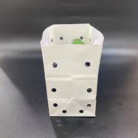 Nouveaux sacs en papier kraft blancs durables pour l'emballage des fruits avec trous d'aération, impression de logo personnalisée, emballés en carton pour les raisins