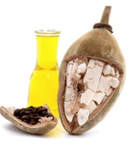 Graines de baobab zambien séchées en vrac, brutes, pour ingrédients cosmétiques, usage agricole et plantation - Product Image 3
