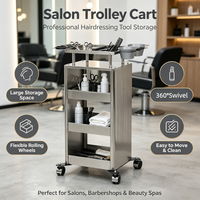 Chariot de Salon en Acier Inoxydable, Chariot de Rangement Roulant pour Coiffure avec Bols à Teinture et Rotation à 360° °   Roulettes pivotantes pour salon de coiffure, spa