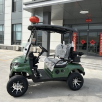 Voiturette de golf 2 places à batterie lithium, fabrication OEM, prix usine, véhicule d'hôtel et d'aéroport personnalisable, garantie à vie, recherche de distributeur