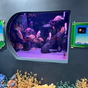 Aquariums de grande taille personnalisés en usine acrylique de rectangle de grand réservoir de poissons <span class=keywords><strong>Aquarium</strong></span> acrylique durable de 100 MM - Product Image 6