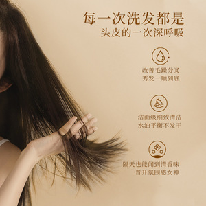 Osmanthus Scented <b>Silicone</b> Free Shampoo Oily Hair Oil Control Cleansing Hair Care - Product Image 5