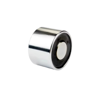 Op voorraad Krachtige mini-elektromagneet met sterke houdkracht, duurzaam, compact, op maat gemaakt voor de bouwnijverheid