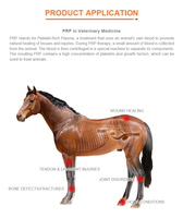 Kit professionnel de tubes PRP équins-Tubes PRP stériles de 10ml avec anticoagulant ACD-A pour tendon de cheval et thérapie articulaire