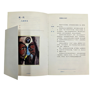 Copertina personalizzata per libri con rilegatura a punto incrociato, stampa offset a pagine piatte, collezione di opere in prosa, produzione diretta in fabbrica - Product Image 4