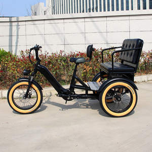 <span class=keywords><strong>Vélo</strong></span> cargo à 3 roues pour adultes, tricycle familial, nouveau tricycle <span class=keywords><strong>électrique</strong></span> à pneus larges 20*4.0 pour adultes - Product Image 2