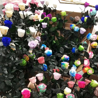 Rose éternelle avec tige unique et longue, 1 boîte, cadeau