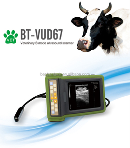 Appareil d'échographie vétérinaire avec boîtier en plastique pour le diagnostic des chevaux et des porcs Bestran BT-VUD67 certifié CE - Product Image 5