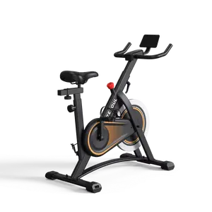 Cheap Smart Gym Home Fitness Exercise Cardio Spinning Bike Cycling
