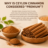 Poudre de cannelle de Ceylan de qualité supérieure, séchée par lyophilisation, directement de l'usine en Chine, arôme riche, approvisionnement en vrac, support pour marque privée