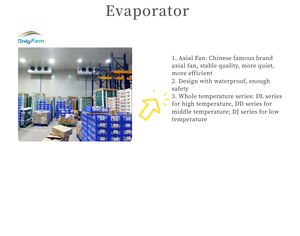 Top Bán Lưu Trữ Lạnh Hệ Thống Làm Mát CE Và <span class=keywords><strong>ISO</strong></span> <span class=keywords><strong>9001</strong></span> Chứng Nhận Bitzer Chất Lượng Cao Phòng Mát Mẻ Cho Trái Cây Rau - Product Image 5