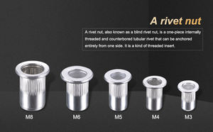Rivets à tête plate en acier inoxydable 304 avec finition zinc, insert fileté Nutsert, fixations Yagu <span class=keywords><strong>BSOS</strong></span>, taille M2-M6, filetage 1/2 - Product Image 6