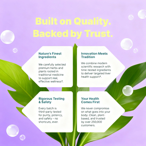 Cápsulas adelgazantes OEM para quemar calorías, compatible con una mejor digestión, limpieza diaria para quemar grasa, cardo mariano, para controlar el peso - Product Image 5