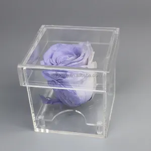 Подарочная коробка с квадратными цветами в виде Розы, упаковочная коробка с шелковым покрытием, конкурентоспособная цена, консервированные розы в акриловой коробке