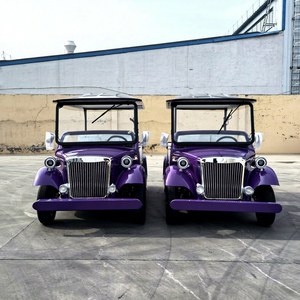 Vente en gros de carrosseries de voitures électriques classiques de haute qualité de la marque ZOWN, roues vintage, 4 roues, couleur et taille personnalisées - Product Image 1