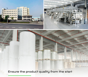 75Mic Cuộn Nhãn Giấy Tổng Hợp <span class=keywords><strong>PP</strong></span> Có Thể Tháo Rời Cuộn Nhãn Dính Jumbo - Product Image 6