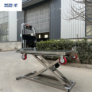 عربة نقل كهربائية مسطحة قابلة للرفع من WGZN لمناولة البضائع، منصة هيدروليكية محمولة على شكل مقص، عربة يدوية معدنية بسعة 300 كجم - Product Image 1