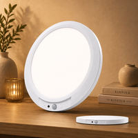 Lampe LED Moderne et Mince pour Armoire, avec Détecteur de Mouvement, Rechargeable, Éclairage Sous Étagère de Cuisine, Intensité Réglable, Lampe de Nuit Intelligente à Capteur