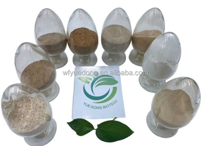 เบต้ากลูคาเนสเอนไซม์เหลว/ผงที่ใช้สำหรับเบียร์ฟีด - Product Image 2
