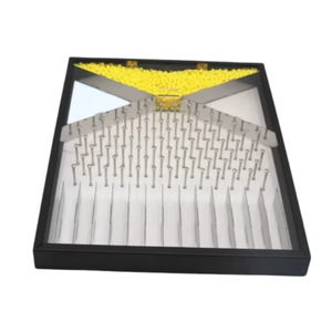 Instrumento Educativo para la Enseñanza de Ciencias Físicas, Tabla de <span class=keywords><strong>Galton</strong></span>/Dalton, para la Demostración de Fenómenos Aleatorios, Material Educativo - Product Image 4
