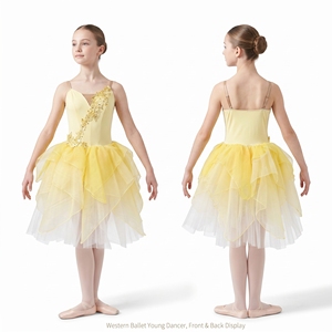 Water Nymph Fairy Ballet Dress Handmade Sleeping Beauty Floral Embroidery Romantic Ballet Tutu <b>Nutcracker</b> Performance Long Dress - Product Image 2