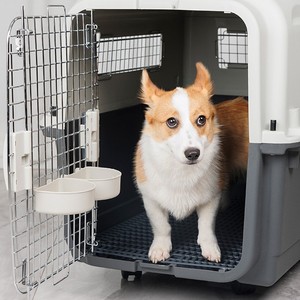 Caisse de transport pour animaux de compagnie approuvée par l'<span class=keywords><strong>IATA</strong></span> en plastique respirant portable durable et en fer pour les voyages - Product Image 6