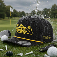 Casquette de baseball et de golf en polyester noir à 5 panneaux avec logo brodé personnalisé OEM BSCI de haute qualité, perforations découpées au laser, vente en gros