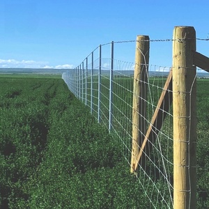 Cercas de Seguridad para Exteriores, Resistentes al Agua y a la Oxidación, para Campos, Granjas y Terrenos <span class=keywords><strong>Rurales</strong></span> - Product Image 5